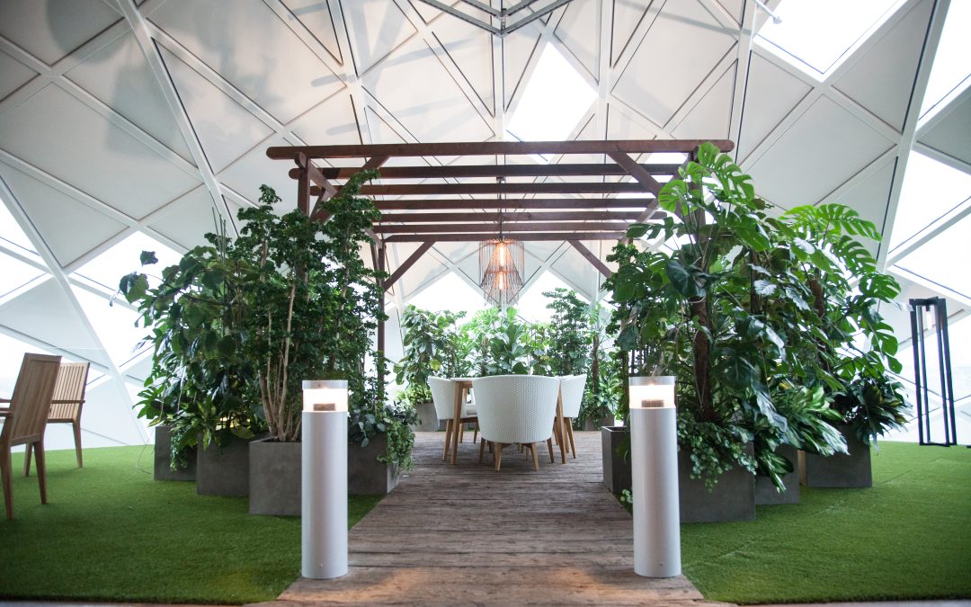 World Green Building Council launch their Advancing Net Zero Status Report for 2022