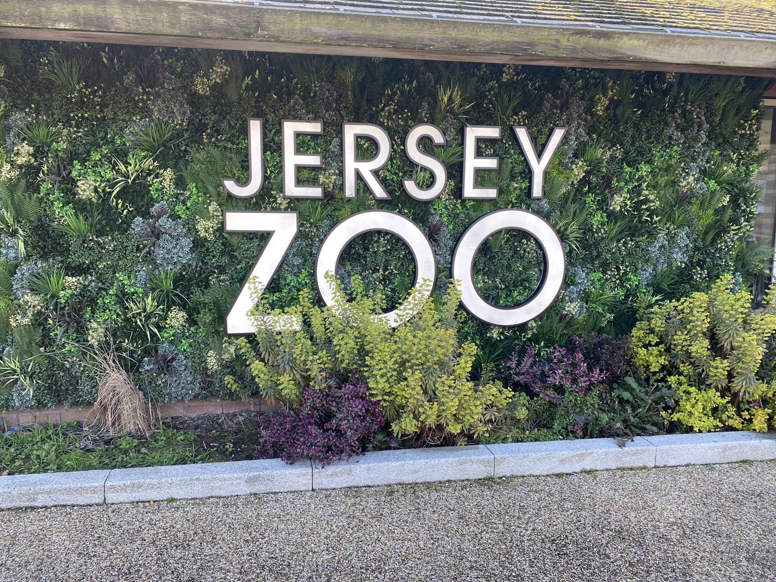 TB+A take a trip to Jersey Zoo!