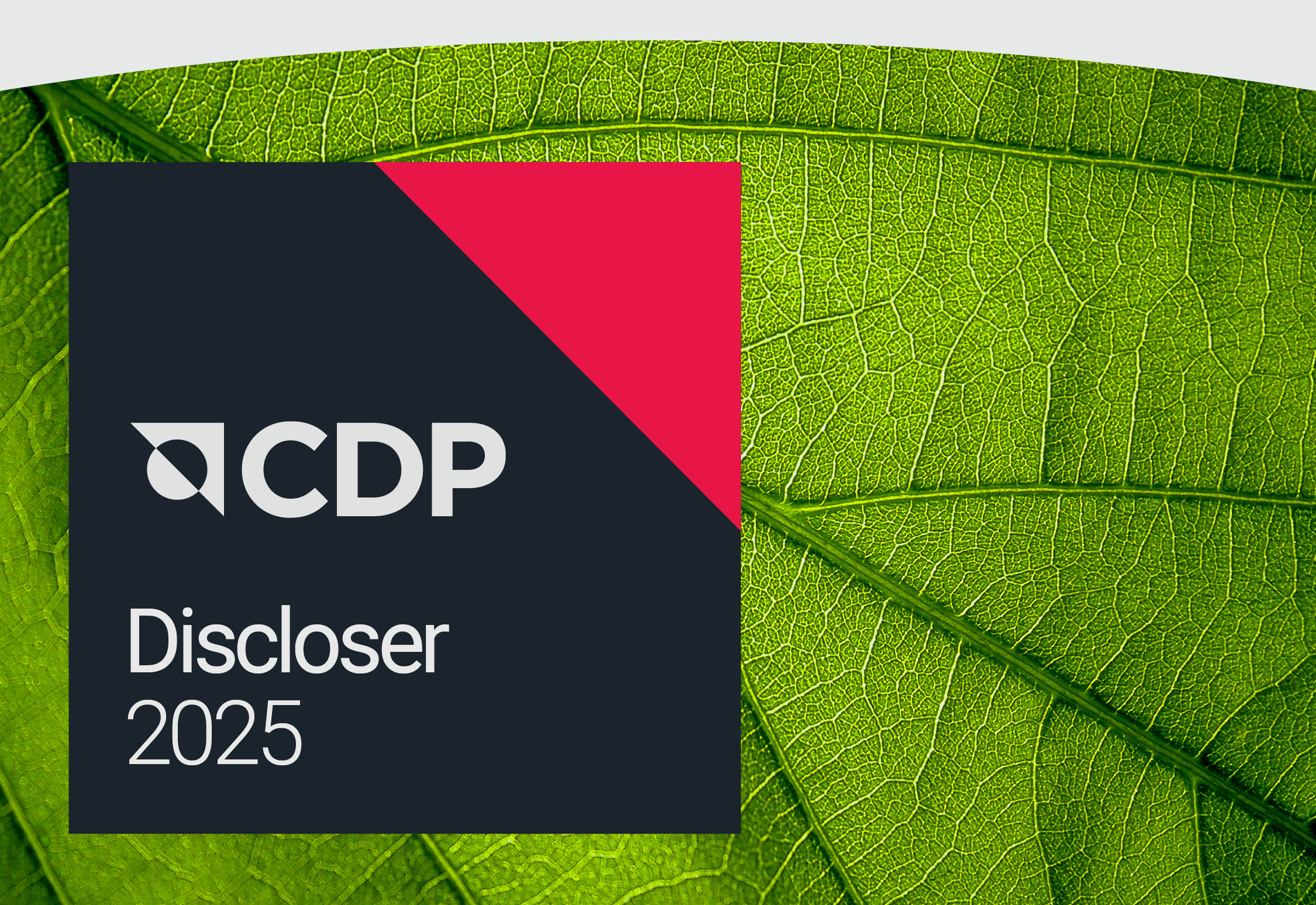 Continuing our CDP Disclosure